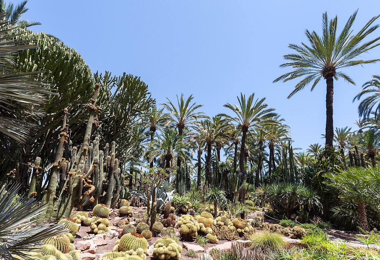 El Huerto del Cura, uno de los rincones más bonitos que ver en Elche