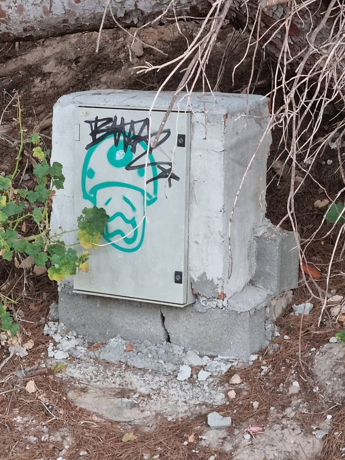 Cala Comte, una de las calas de agua turquesa que ver en Ibiza