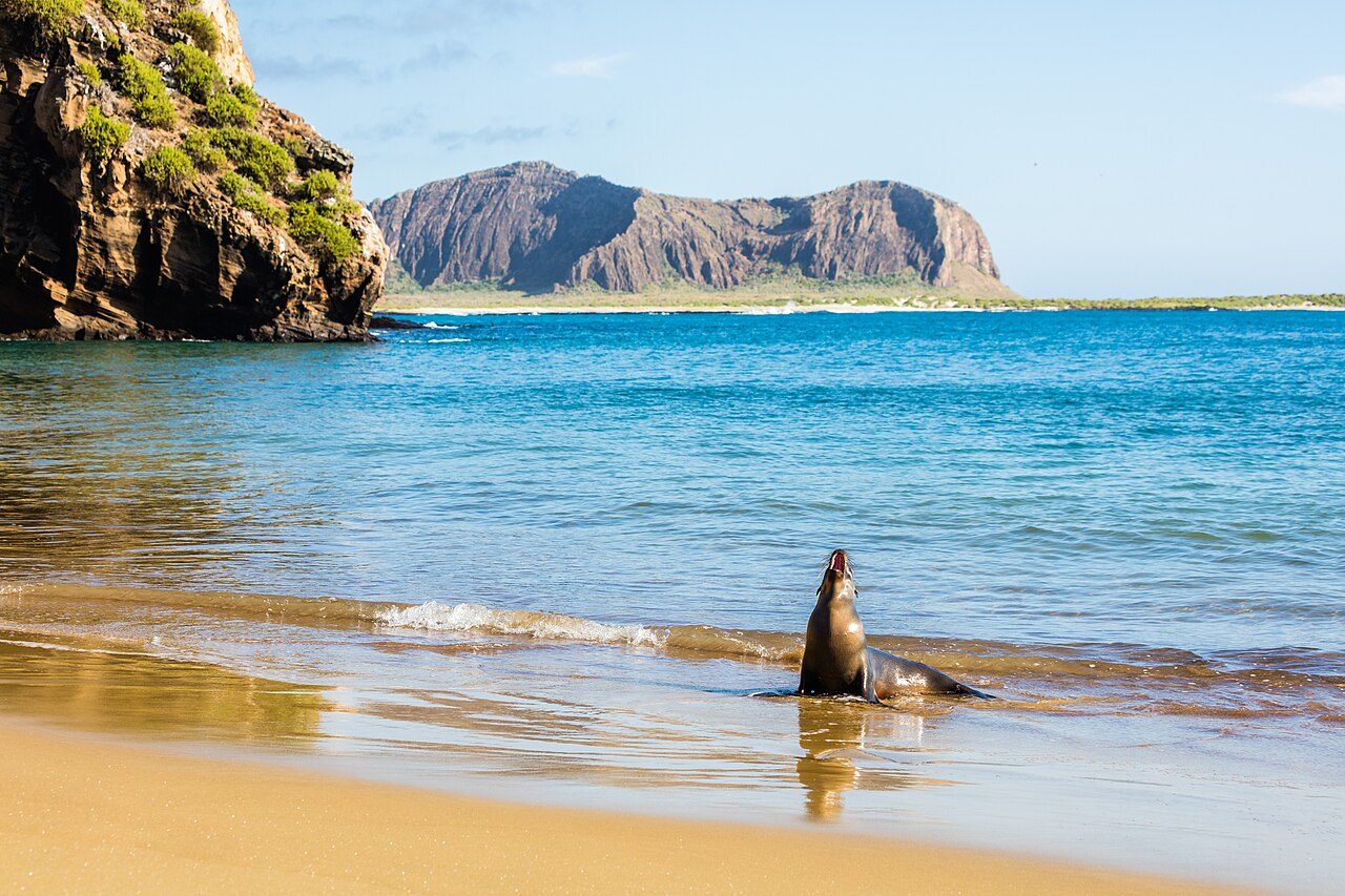 La laguna de La Concha en Isla de Lobos, una de las joyas que ver cerca de Corralejo