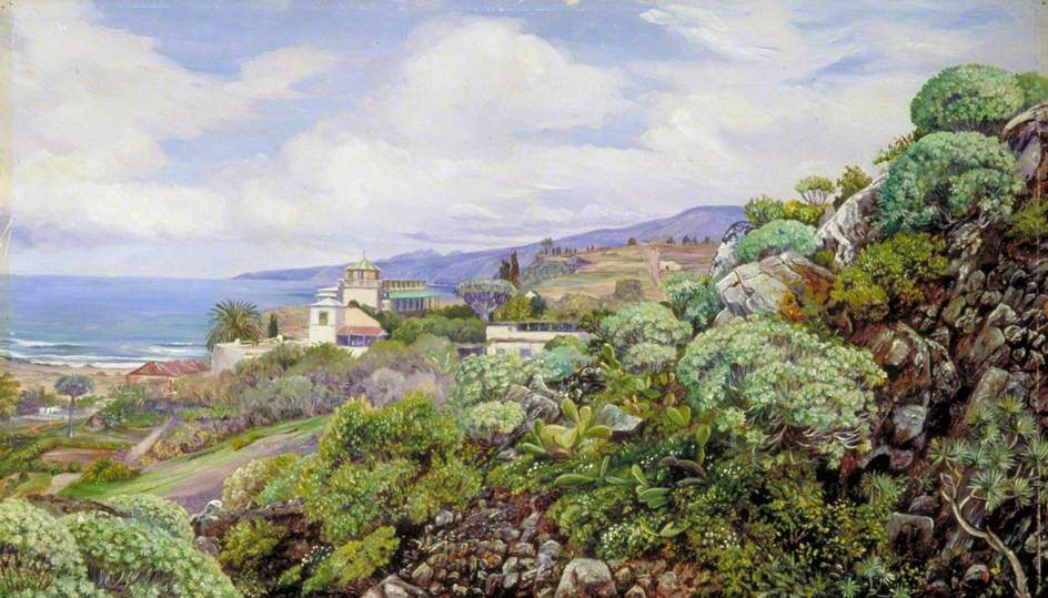Casas históricas y balcones canarios en un free tour por La Orotava.