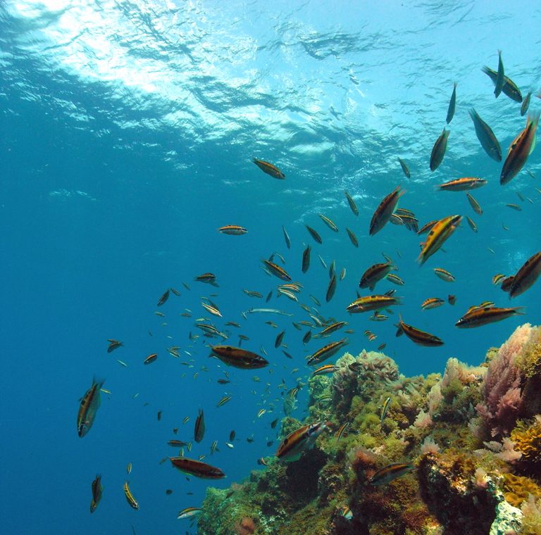 Qué hacer en El Hierro: buceo y piscinas naturales a un paso de Valverde