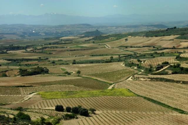 Viñedos que rodean Cuzcurrita de Río Tirón, corazón del enoturismo riojano