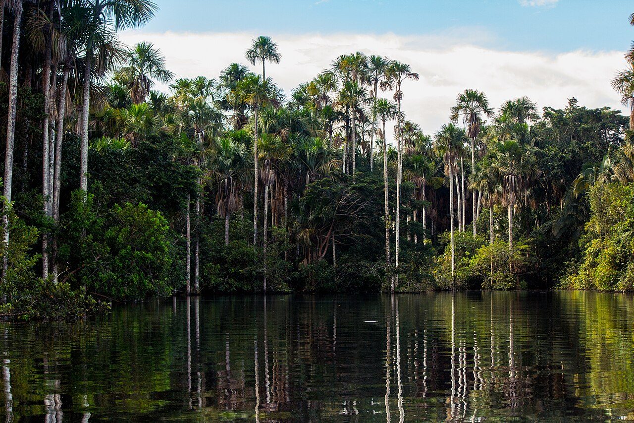 El Lago Sandoval, uno de los imprescindibles que ver en Puerto Maldonado
