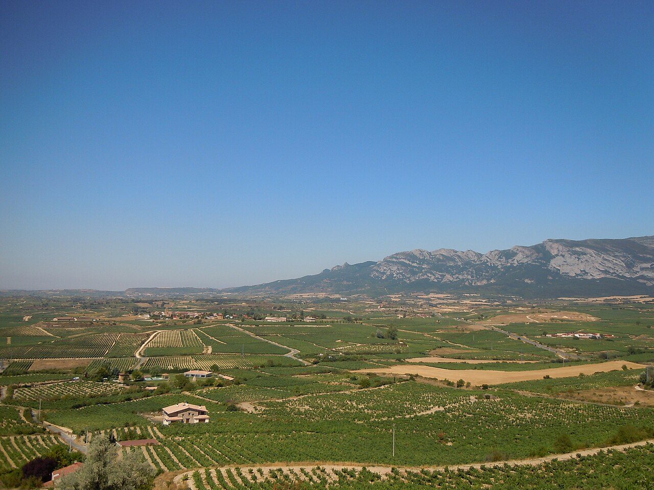 Tours y visitas guiadas en Laguardia: el casco medieval amurallado de la Rioja Alavesa.