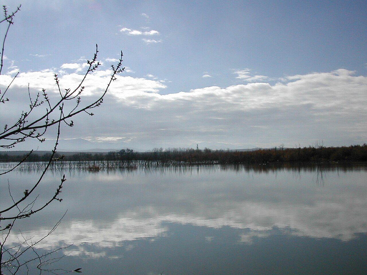 La Laguna Grande, imprescindible entre lo que ver en Fajardo al anochecer