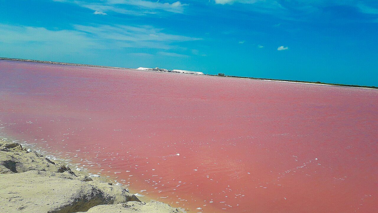 Las lagunas rosas de Las Coloradas, parada obligada al ver Río Lagartos