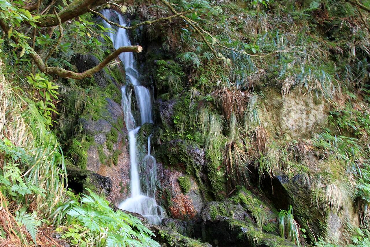 La Levada das 25 Fontes, una de las rutas de senderismo más famosas que ver en la Isla de Madeira