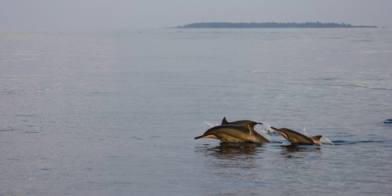 Paseo en barco al atardecer, una de las mejores excursiones cerca de Malé