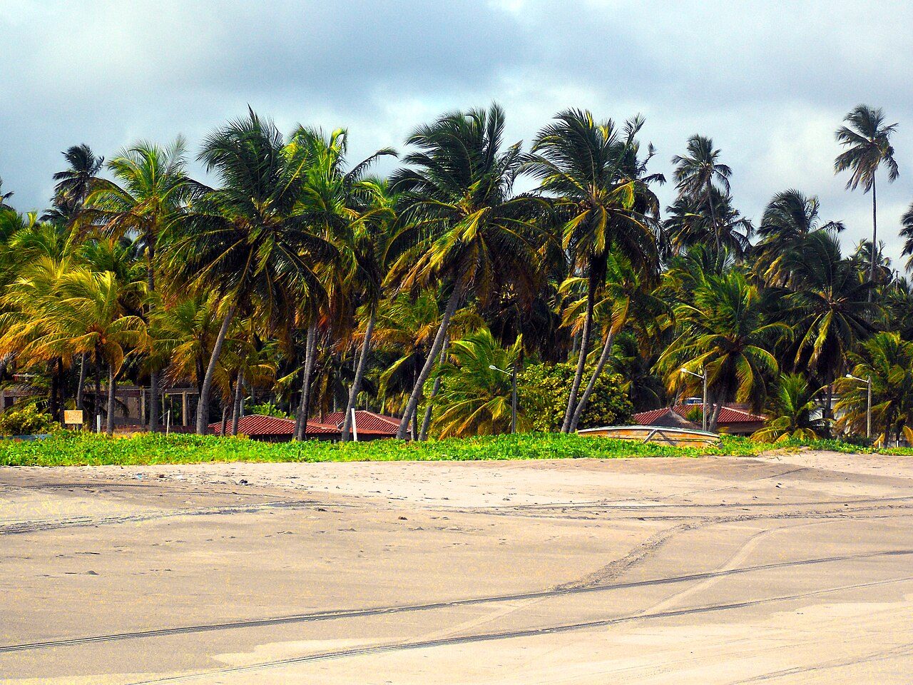 Playas de cocoteros: parte esencial de qué ver en Maragogi con calma