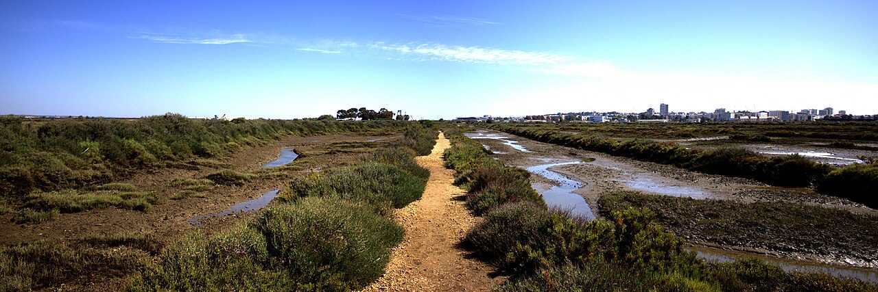 Las Marismas del Odiel, naturaleza imprescindible al visitar Punta Umbría
