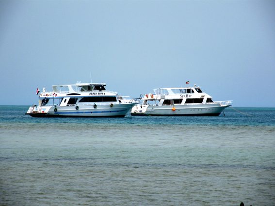 Cruceros y barcos en Marsa Alam para hacer snorkel en los arrecifes del Mar Rojo