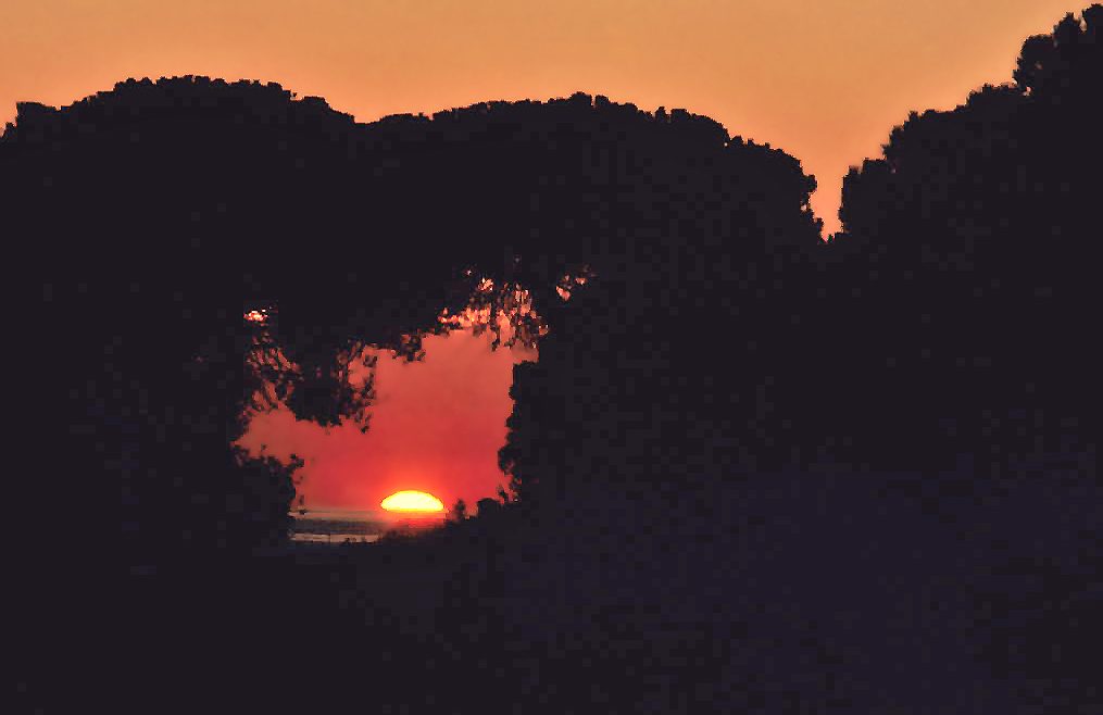 Atardecer sobre el pinar y la playa, un plan gratis imprescindible en qué ver en Mazagón