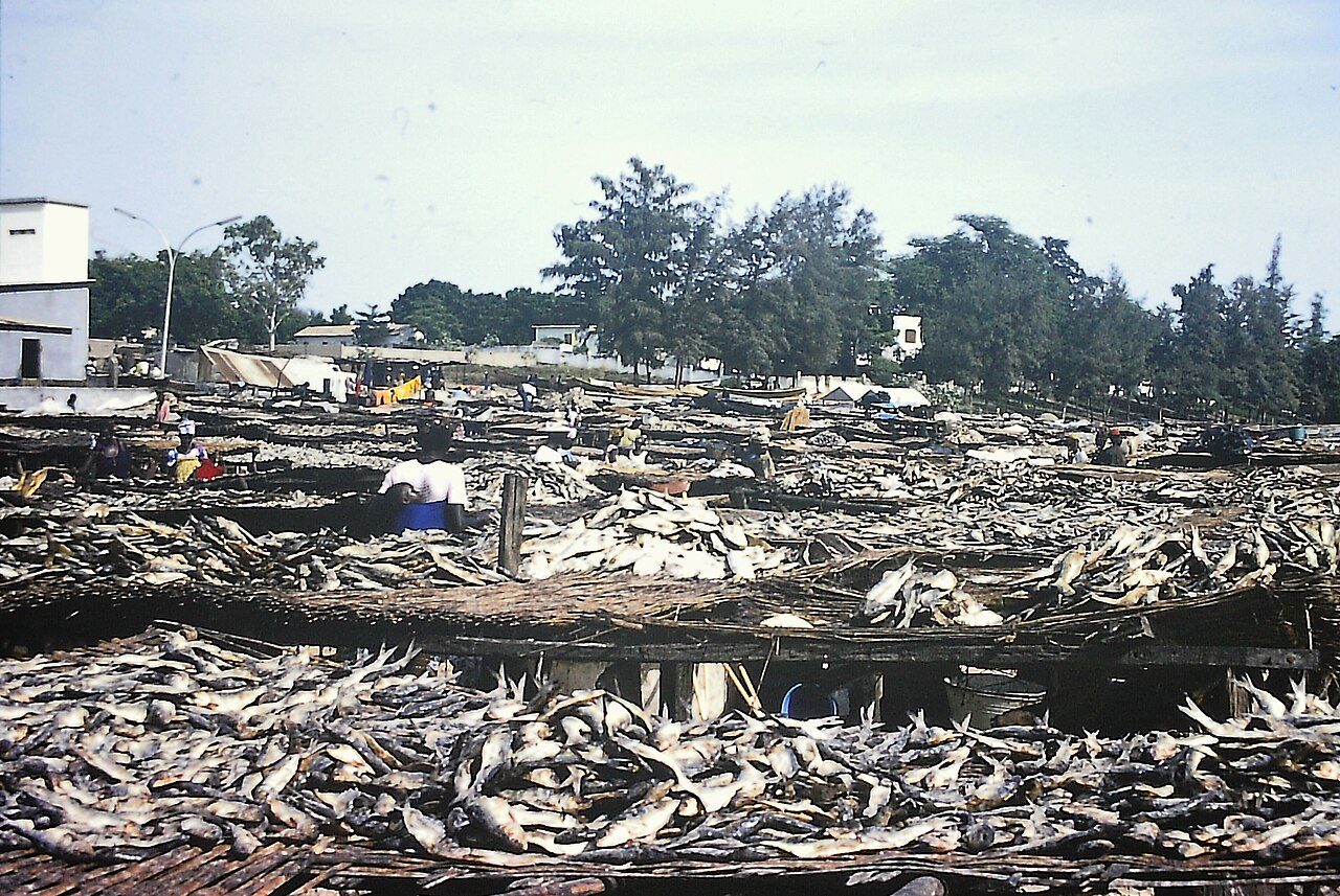 El bullicioso puerto pesquero de Mbour, uno de los imprescindibles cerca de Saly