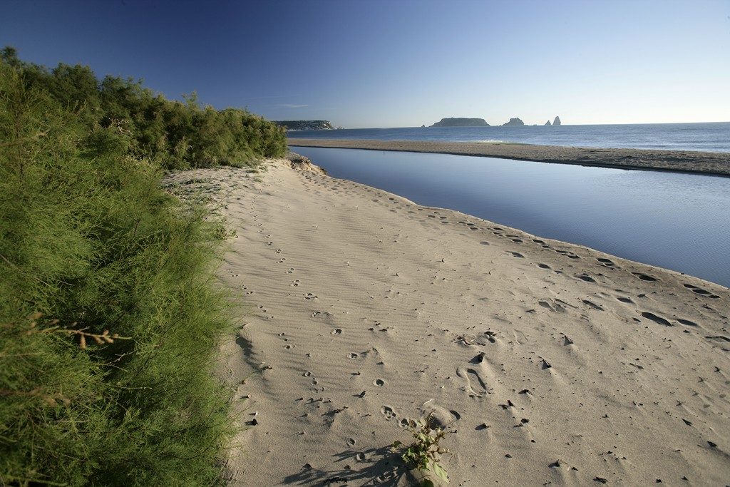 Las Islas Medas, el gran imprescindible que ver en Estartit