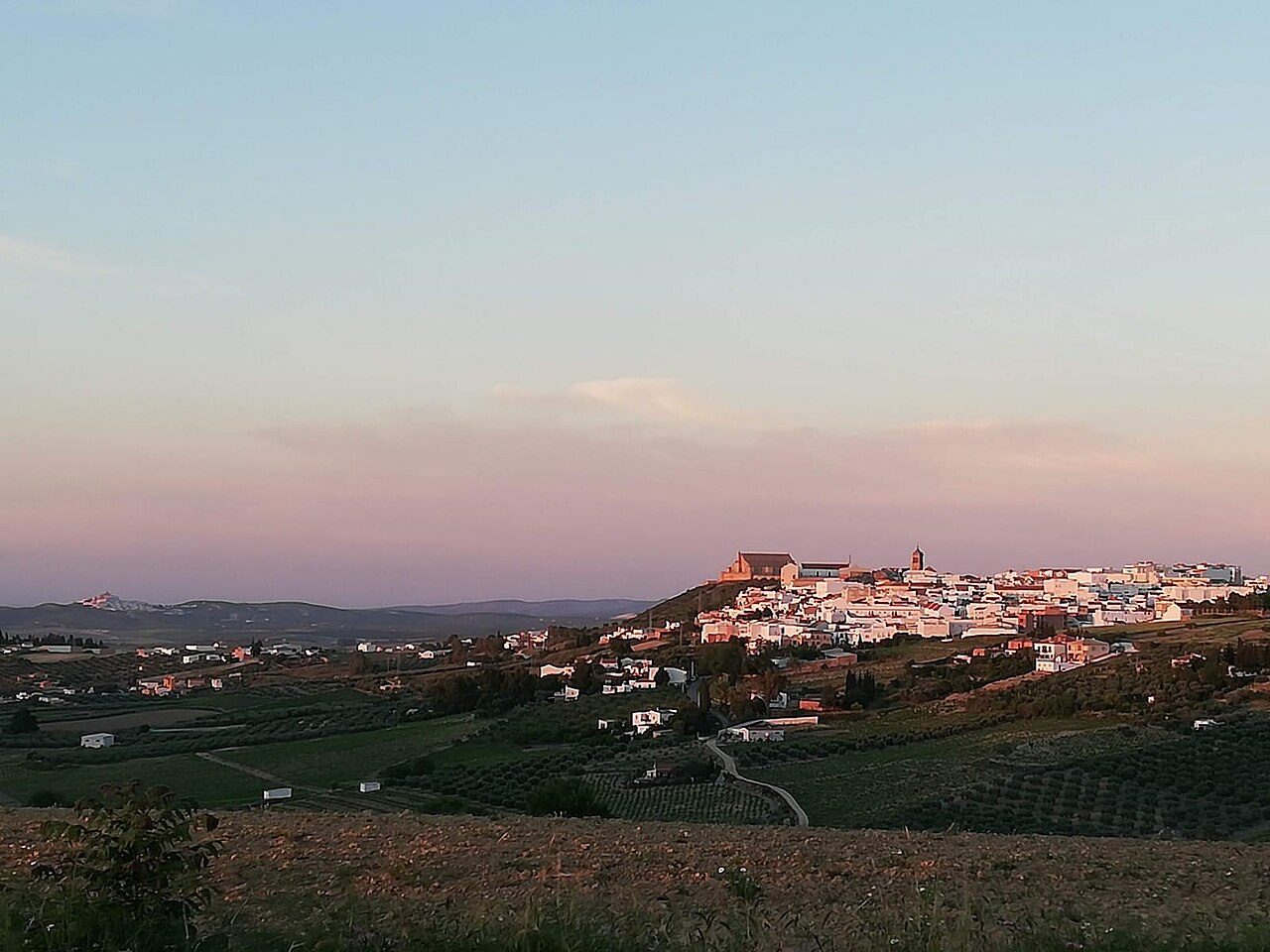 Vistas del casco de Montilla, punto de partida para descubrir qué ver en Montilla
