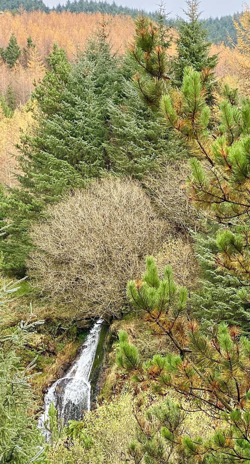 Las cascadas Nant y Fall, una de las excursiones más populares cerca de Esquel