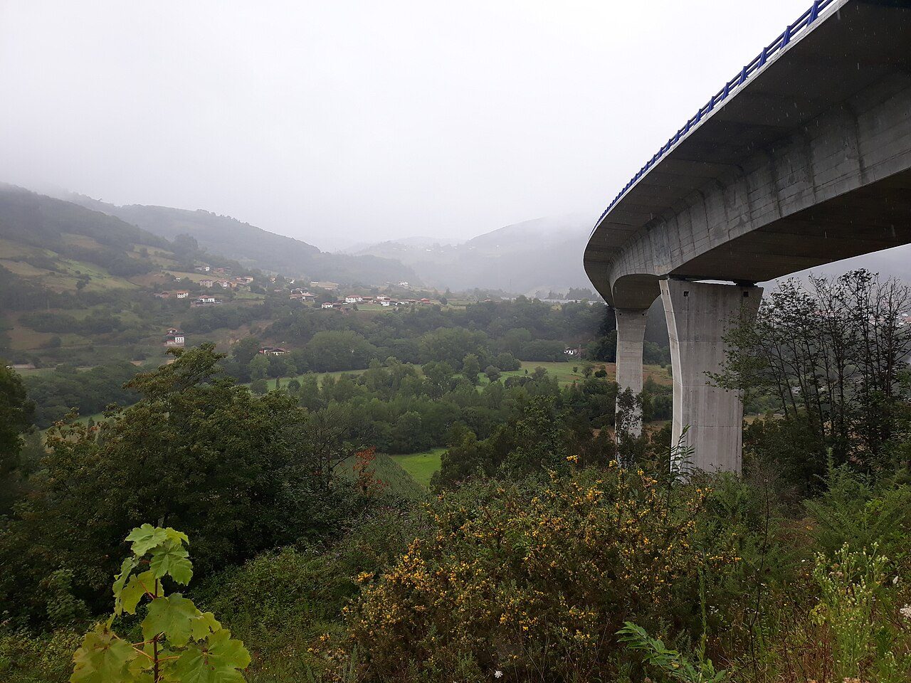Los bosques del entorno, un imprescindible para completar lo que ver en Cangas del Narcea