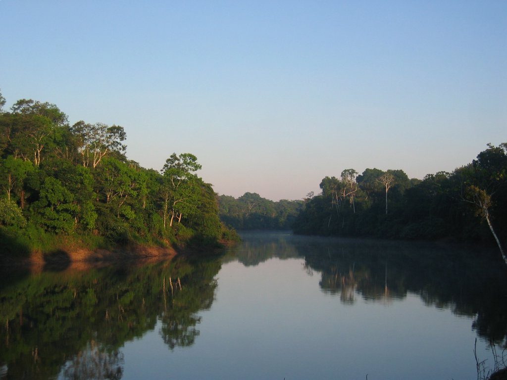 La Selva de los Espejos de Pacaya Samiria, la gran excursión que ver desde Iquitos