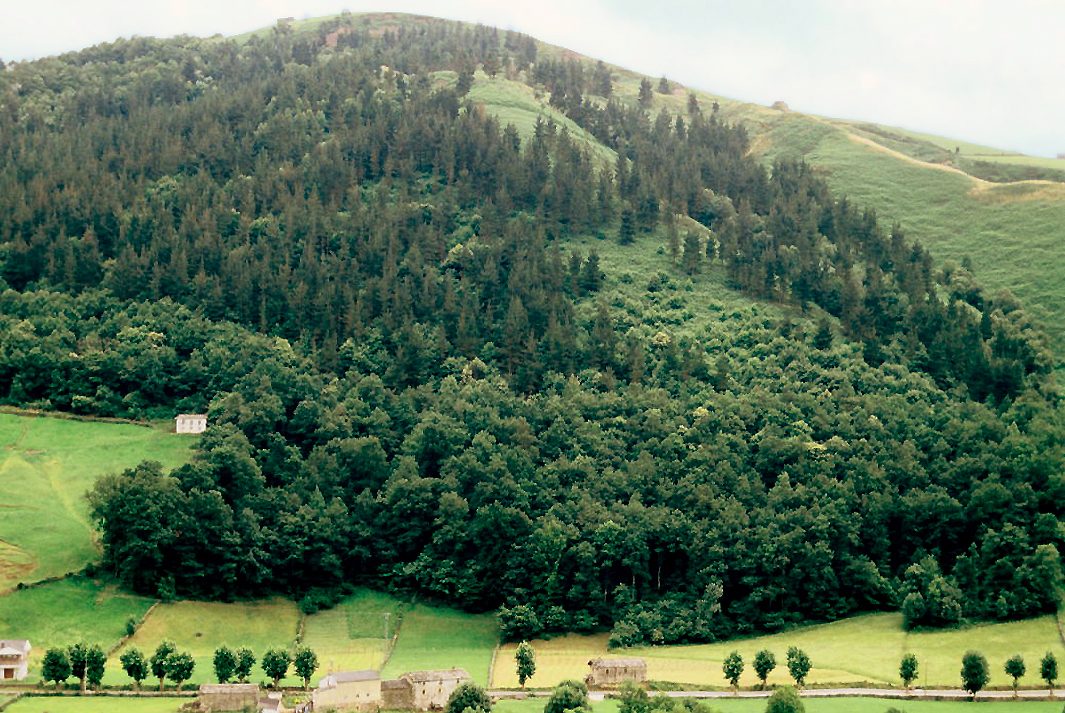 Qué ver en Selaya: los prados y cabañas del paisaje pasiego
