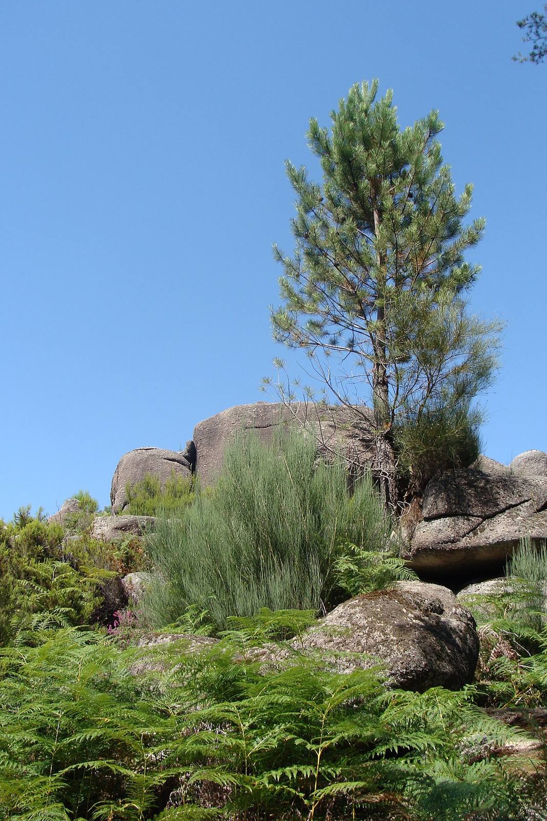 Rutas de senderismo por el Gerês, lo mejor que hacer en Soajo