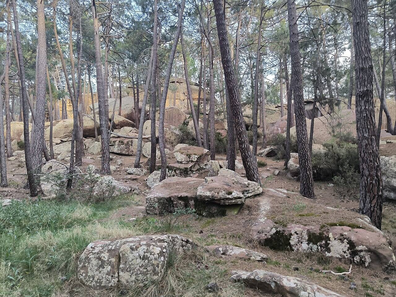 Los Pinares de Rodeno, excursión cercana desde Albarracín