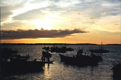 Excursiones de un día en Tumbes: navegando entre los manglares de Puerto Pizarro.