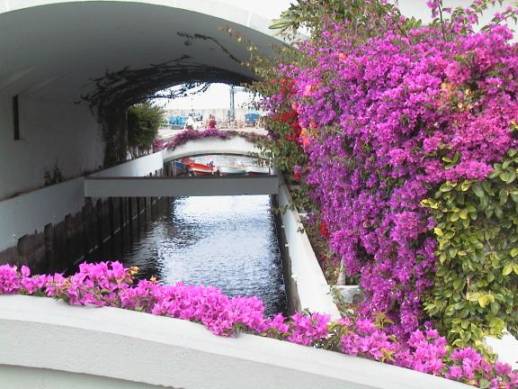 Los canales y las casas floridas que dan a Puerto de Mogán su apodo de pequeña Venecia