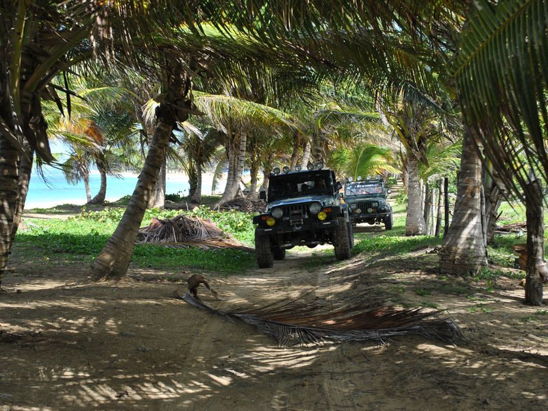 Entradas y museos en Punta Cana: parques de aventura como el Bávaro Adventure Park
