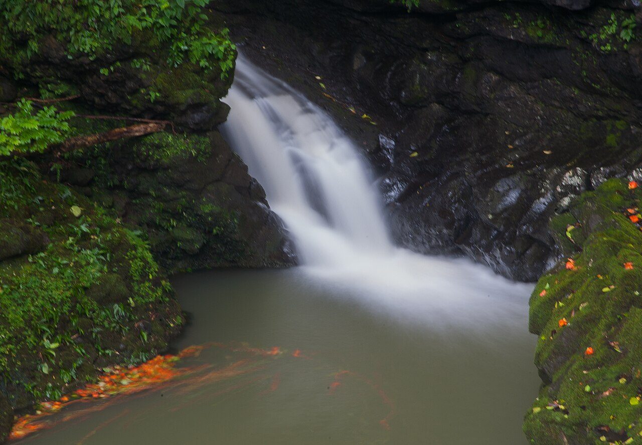 Tours y visitas guiadas en Maui: la espectacular carretera de Hana entre selva y cascadas
