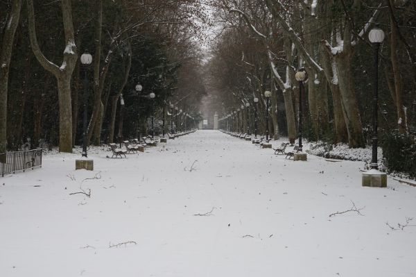 El Campo Grande, un remanso verde en el centro de Valladolid