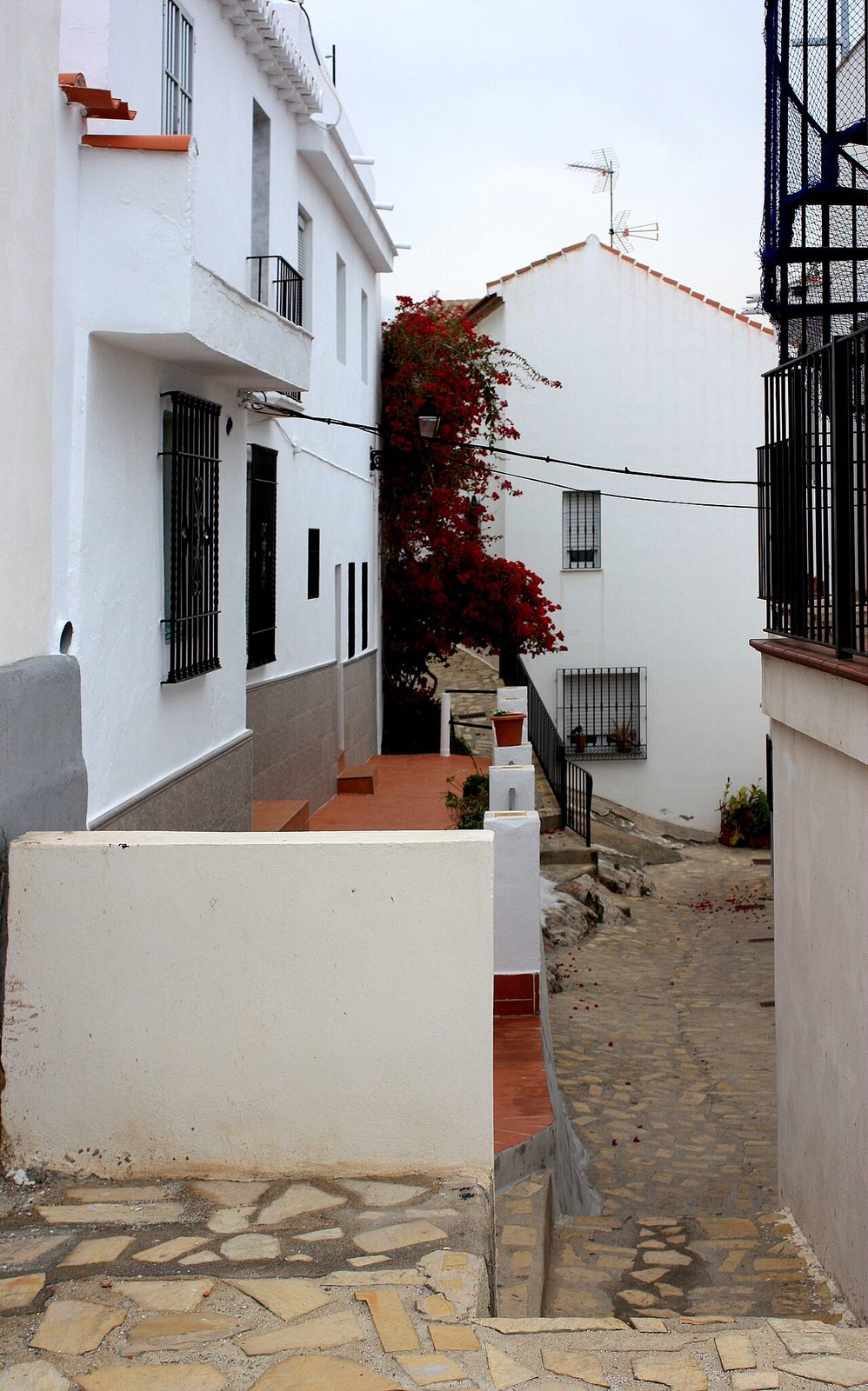 Callejuelas encaladas y buganvillas del casco histórico de Salobreña