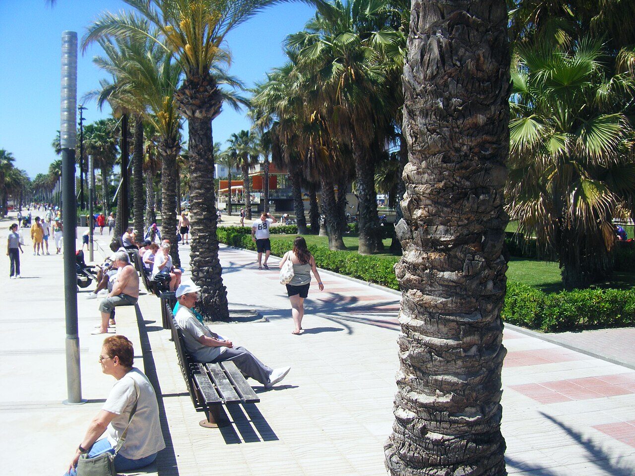 El paseo marítimo de Salou, uno de los imprescindibles que ver en la Costa Daurada