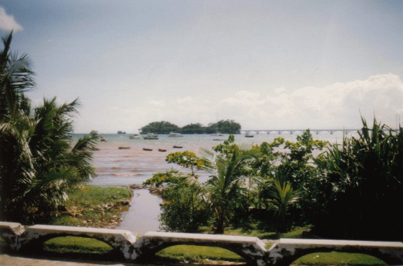 Cruceros y barcos en Samaná: navegando entre los islotes de Los Haitises