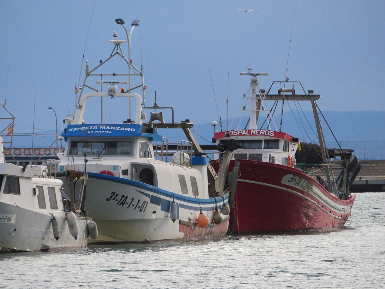 El puerto pesquero, una de las estampas imprescindibles que ver en San Carlos de la Rápita