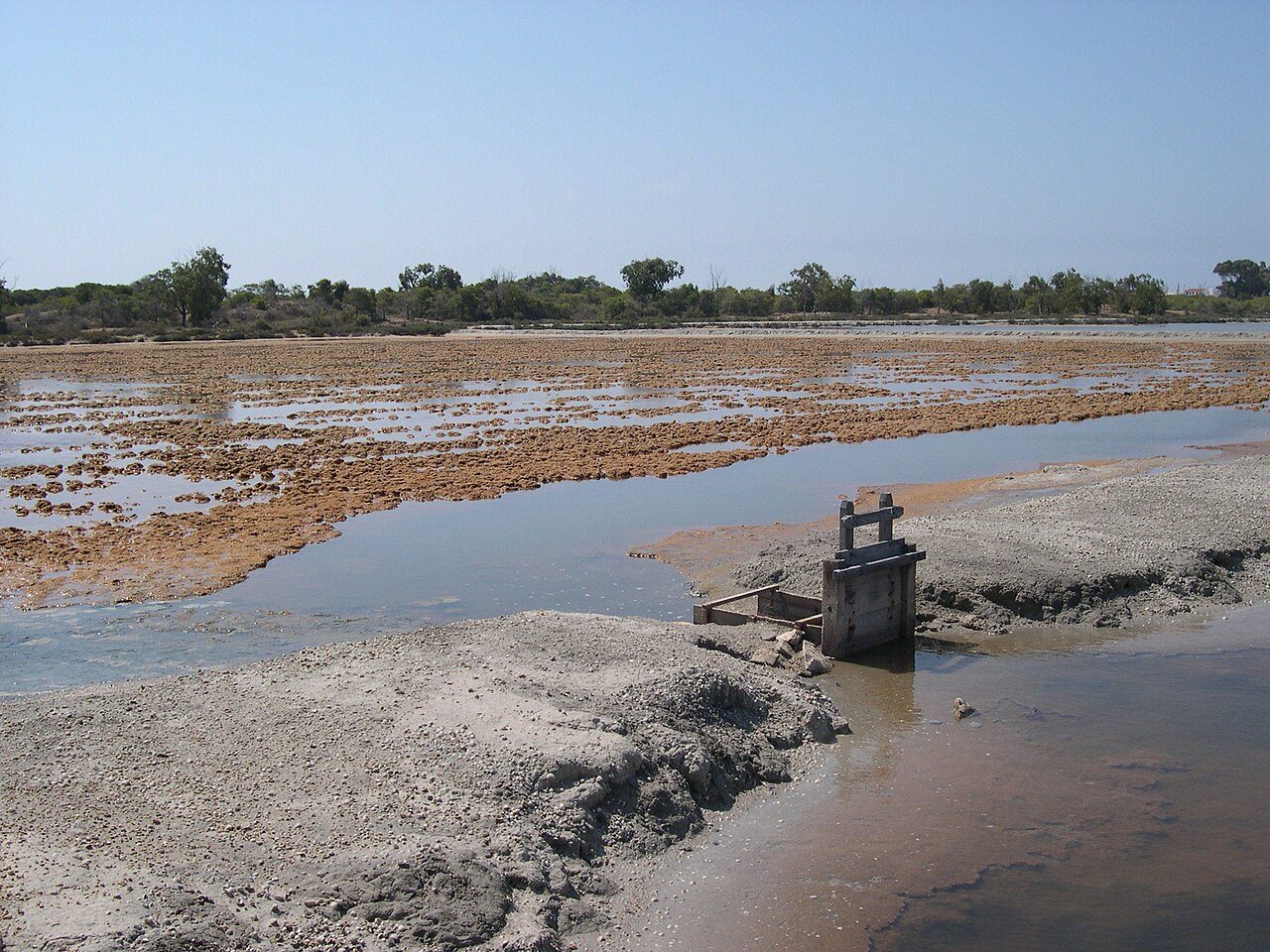 Las salinas de Santa Pola, un imprescindible natural que ver en la zona