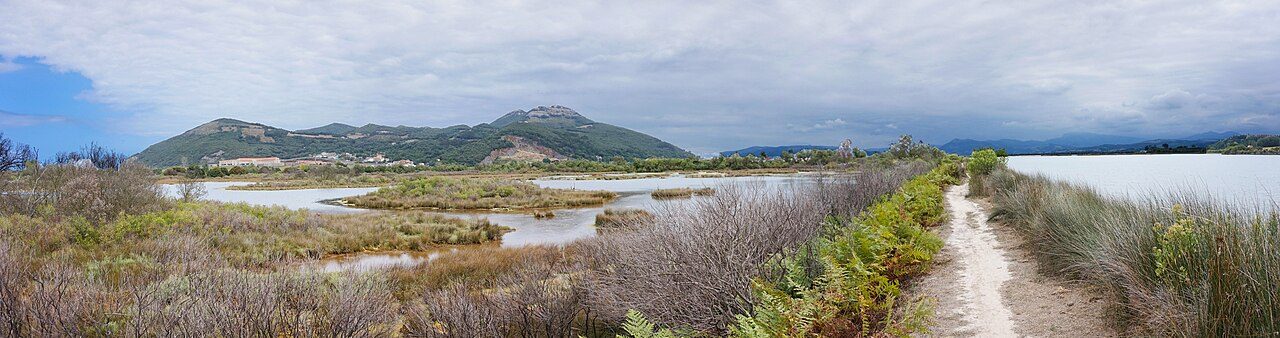 Las marismas de Santoña, otro imprescindible de qué ver en Santoña para los amantes de la naturaleza