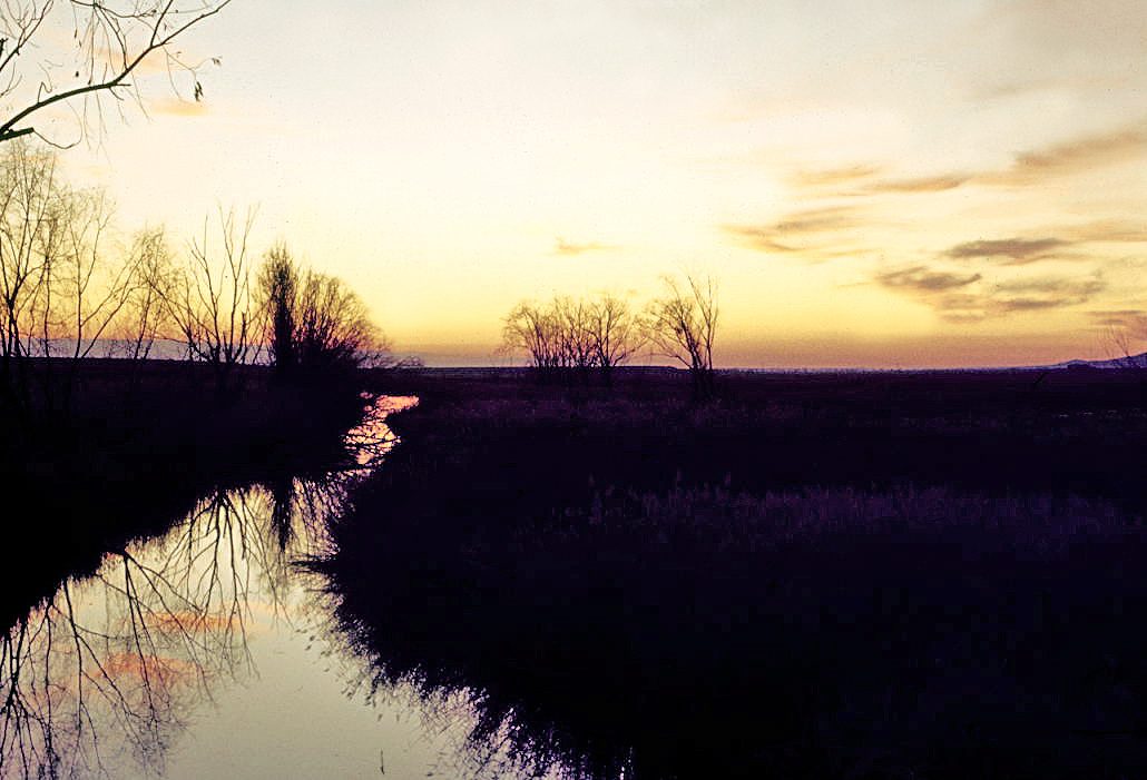 Panorámica de los humedales de las Tablas de Daimiel, imprescindibles en Daimiel