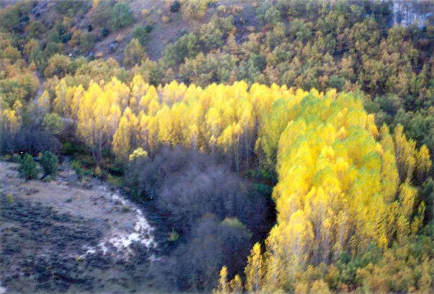 Miradores sobre el valle del Tajuña, un imprescindible de los alrededores de Brihuega