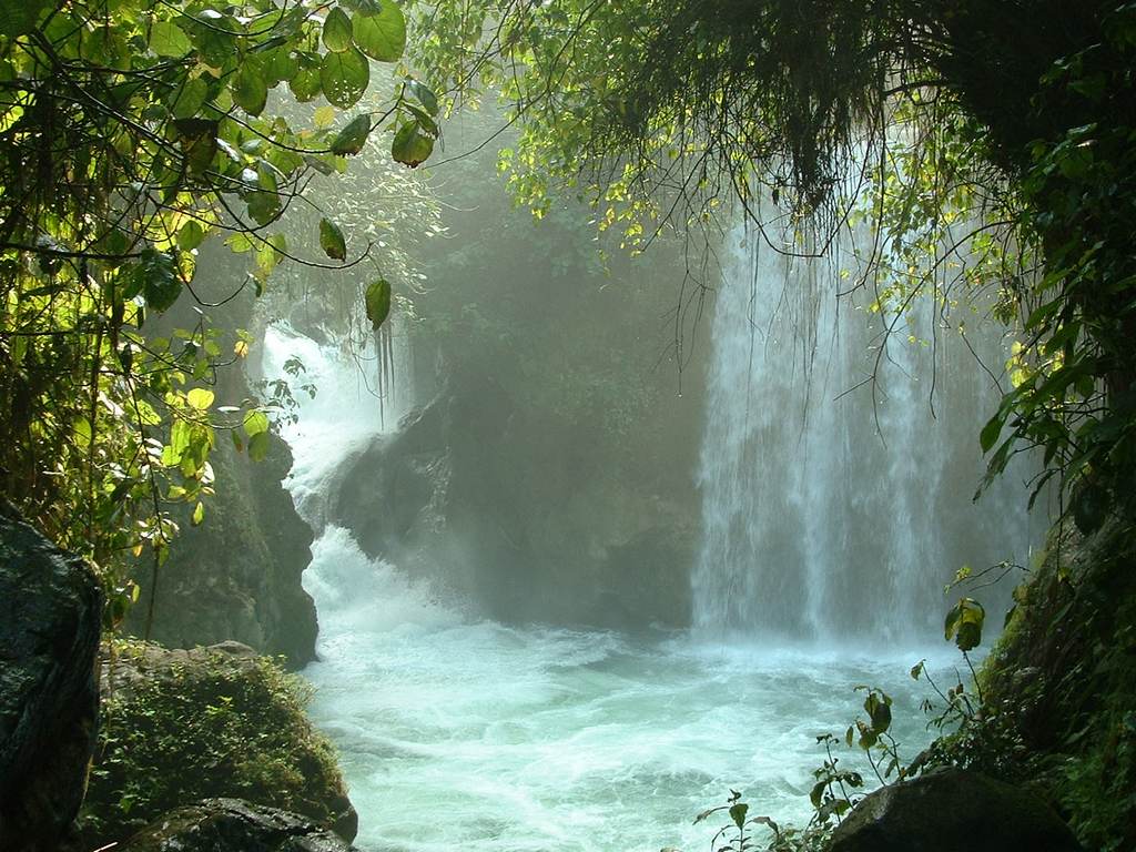 Cascadas turquesa de Tamasopo, una de las excursiones de un día en Ciudad Valles más refrescantes.