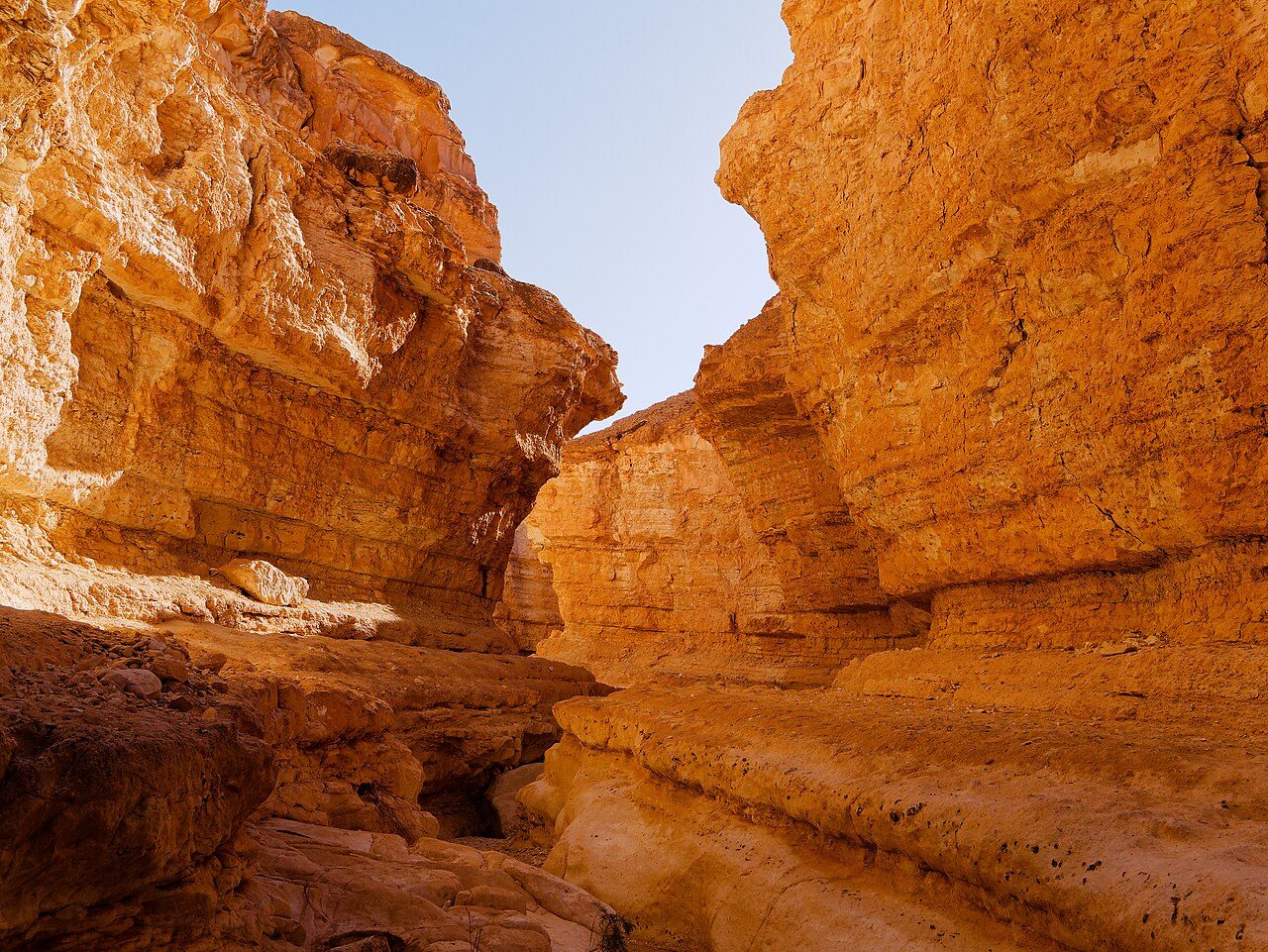 Los oasis de montaña, una excursión imprescindible cerca de Tozeur