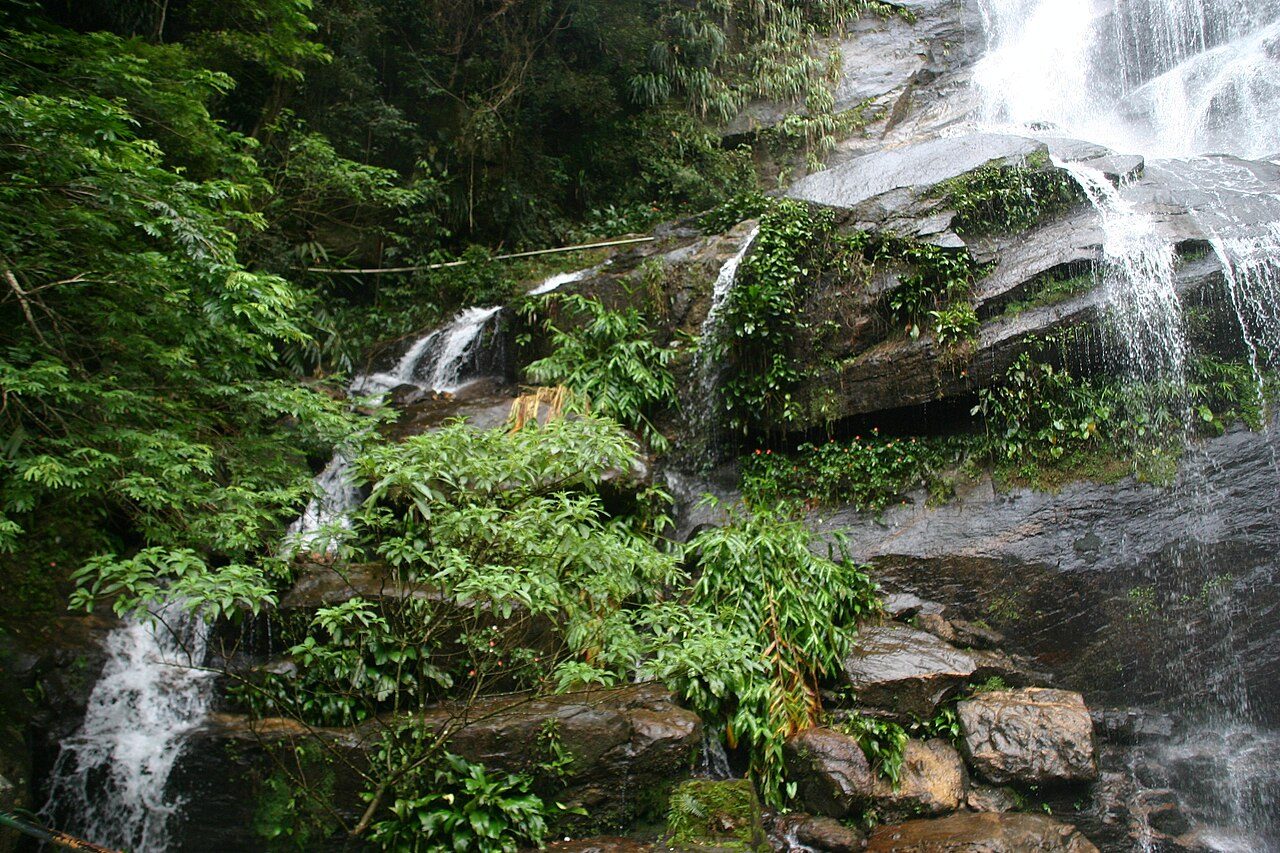 Naturaleza y aventura en Río de Janeiro: senderos entre la selva del Parque de Tijuca
