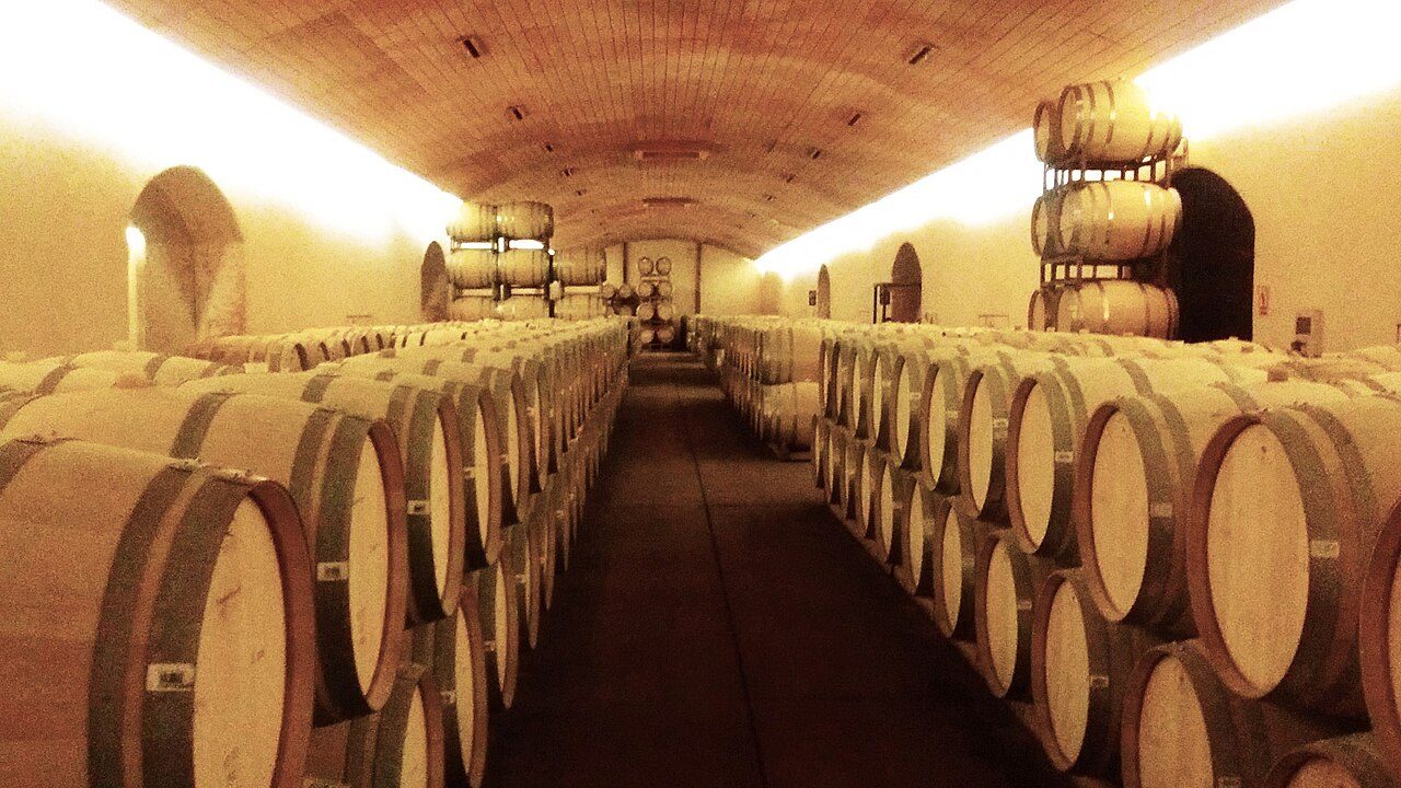 Las bodegas de la Ruta del Vino, uno de los grandes atractivos que ver en Toro.