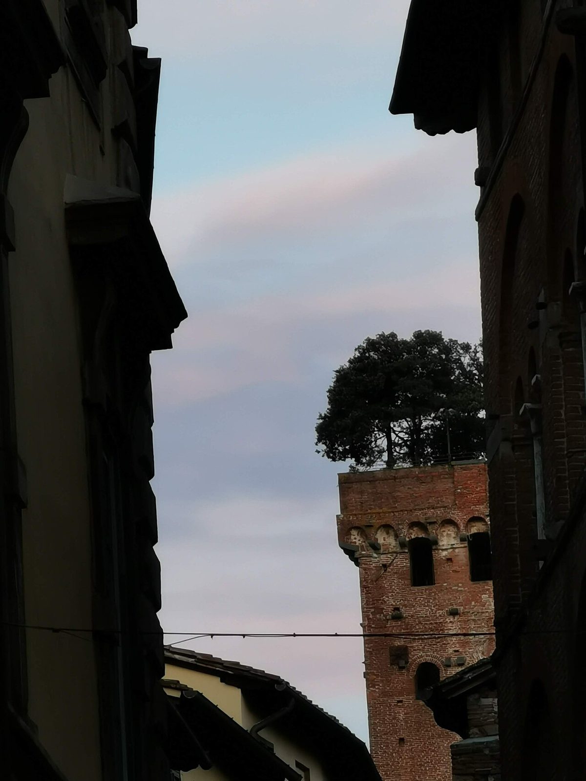 La Torre Guinigi con sus robles, parada clave del itinerario que ver en Lucca