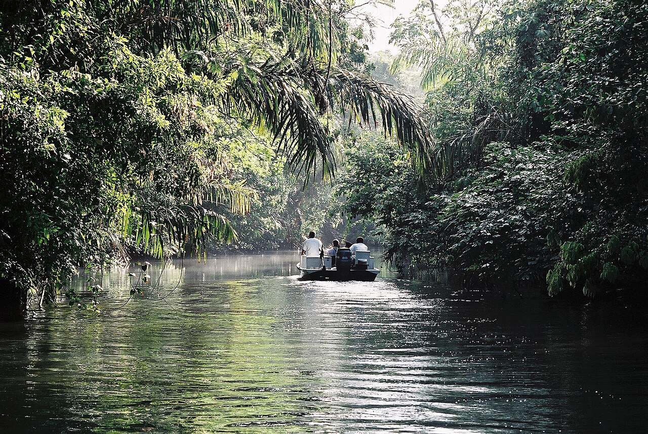 Recorrido en barca durante una visita guiada en Tortuguero entre la selva y los canales.
