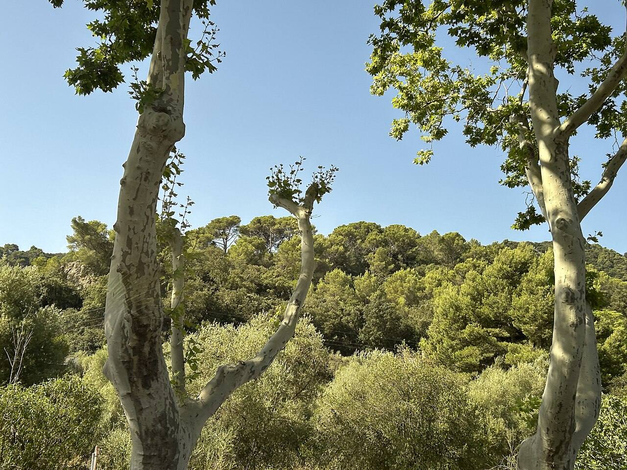 Panorámica de Valldemossa, uno de los pueblos más bonitos de la Sierra de Tramuntana