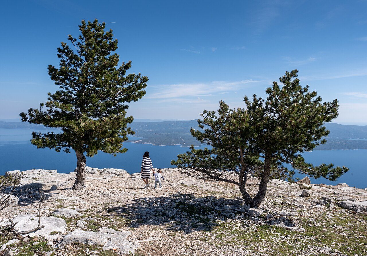 Vistas de Zlatni Rat desde el monte Vidova Gora, uno de los grandes miradores que ver en Brac