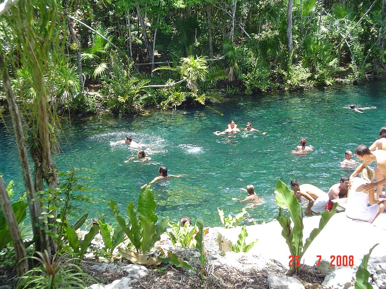 Nadar en un cenote es uno de los tours y visitas guiadas en Riviera Maya más recomendables.