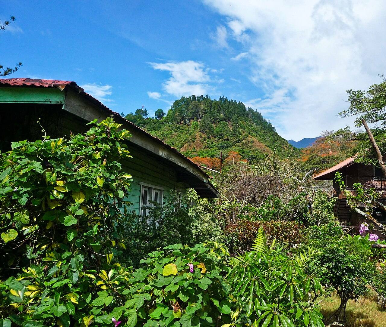 Cata de café geisha en una hacienda, otro imprescindible que ver en Boquete