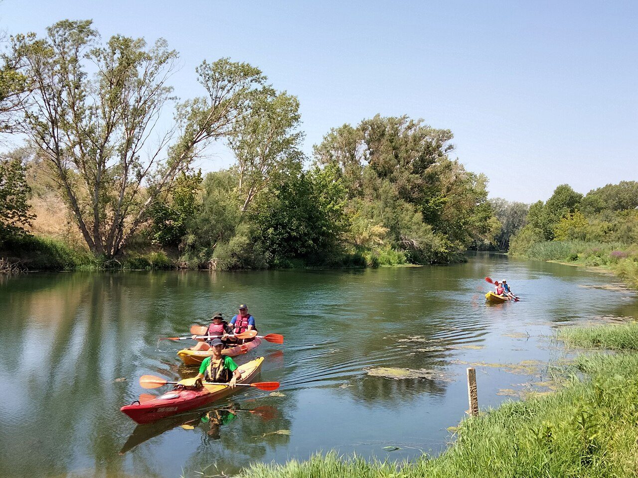 El tour en kayak por el río Ebro, el plan imprescindible de qué ver en Mora La Nueva
