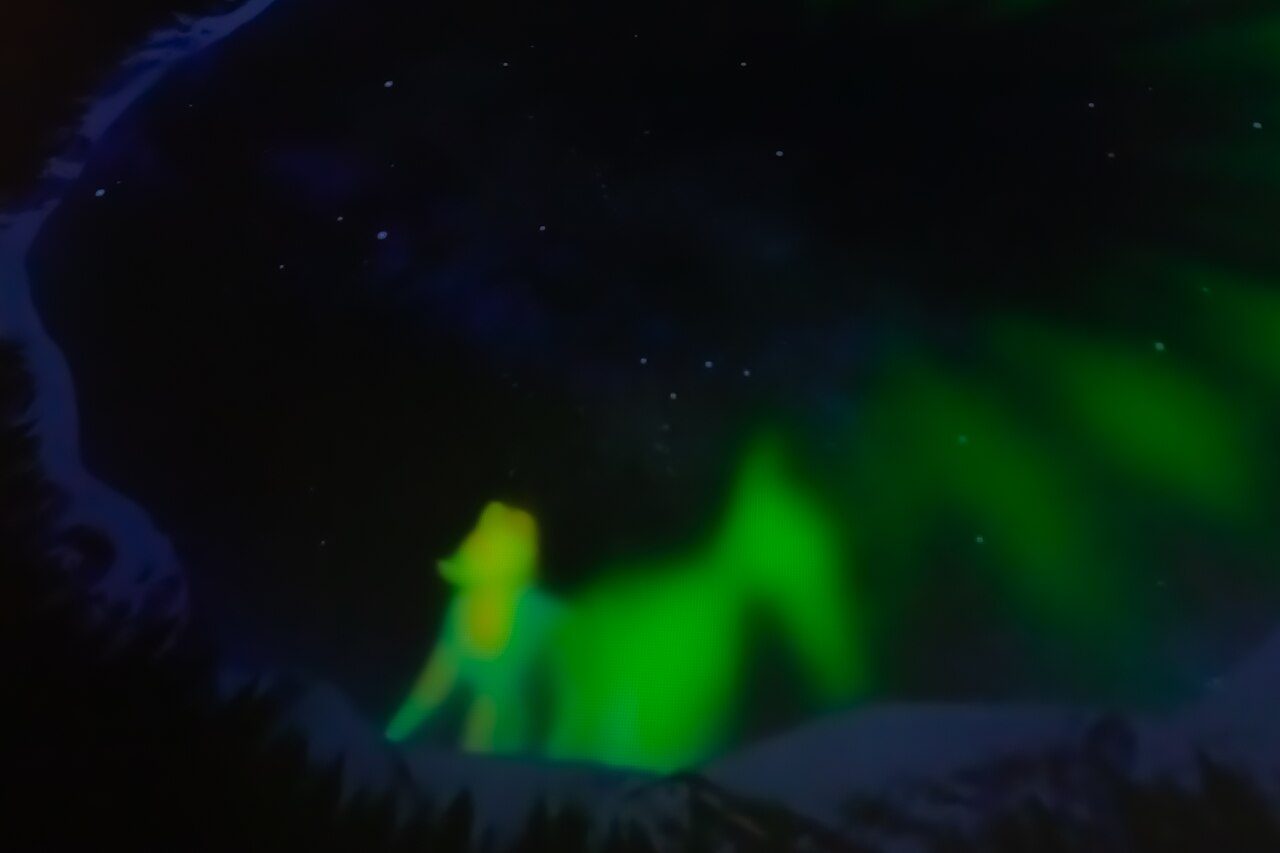 Tours y visitas guiadas en Rovaniemi para cazar la aurora boreal en Laponia